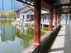 -团结湖公园