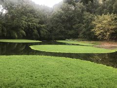 -涞滩古镇