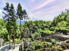 -梭布垭石林景区