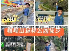 -广州市帽峰山景区