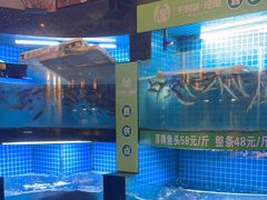 -千岛湖小鱼儿·淳安匠心农家菜