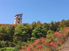 -瑞安圣井山景区