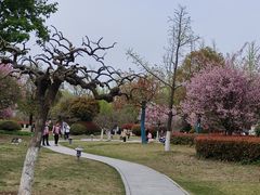 -徐州龟山景区