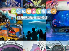 -海合安武汉极地海洋公园