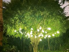 -三亚湾海居铂尔曼度假酒店