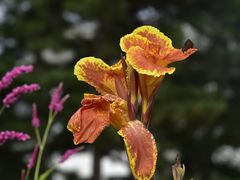 -国家植物园南园