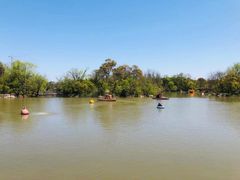 -吴淞炮台湾湿地森林公园烧烤区