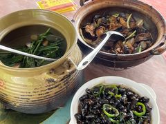 -天强农家菜馆