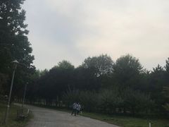 -望湖公园