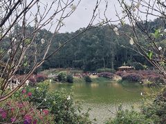 -南国桃园旅游度假区