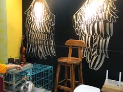 -志龙皇冠吃货椰子铺