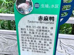 -黔灵山公园