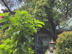 -侨美·唐荔园·40年地道粤菜