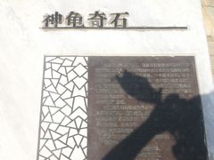 -定都峰