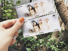 -TrueLove @ Neverland (Husky Cafe)