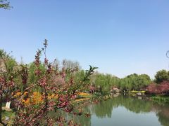 -圩墩遗址公园