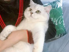 -北京国玉大酒店(鸟巢科技馆店)