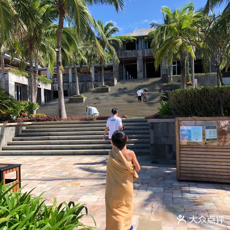 拳头一样大的蜗牛