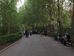 -长春公园(普阳街道)