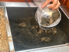 -叶氏麻糍(鼓浪屿店)