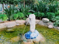 -南宫五洲植物乐园