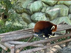 -常州淹城野生动物世界