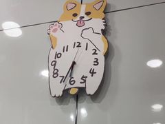 -pd派德宠物中心医院24H急重症·眼科中心·血液透析中心(嵩山北路店)