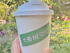 美式-大青树咖啡(大理古城店)