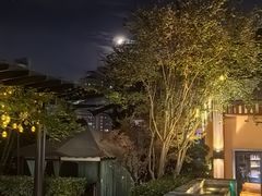 -浅深Cheersum(曹杨店)