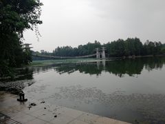 -东湖落雁景区