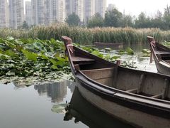 -前关湿地公园