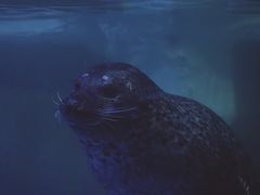 -左海海底世界