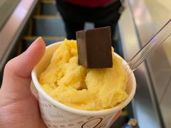 -泡泡玛特POPMART(天环购物中心店)