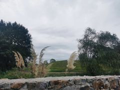 -梁鸿国家湿地公园