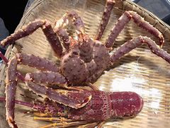 -日进一片海.生腌海鲜火锅.宵夜烧烤(三里屯总店)
