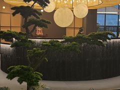 -椿杨樘·明康泡浴养生馆(重庆店)