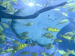 -太平洋海底世界