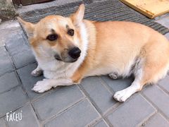 -阿木舂记·特色小吃(平江路店)
