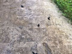-夏霖九天银瀑风景区