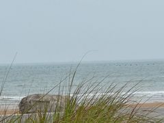 -青岛石老人海水浴场