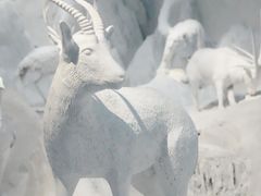 -中国湿地博物馆