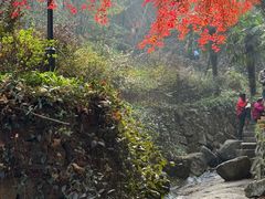 -莫干山风景区