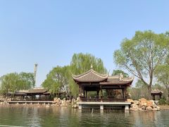 -石家庄市植物园