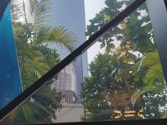 -港丽餐厅(高德置地店)