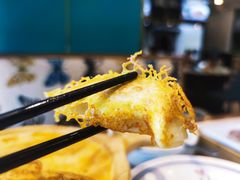 丝网鲜肉锅贴-三品香·江浙菜(松江九谊店)