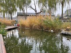 -春风习习