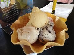 -莓园冰淇淋店