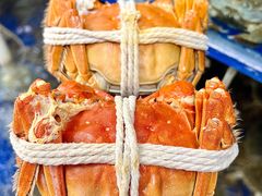 -阳澄湖大闸蟹·琼灵阁牌品牌连锁(吴中总店)