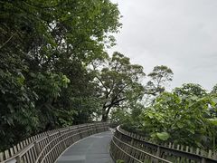 -福道