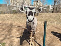 -大连森林动物园